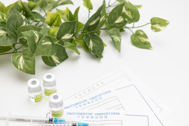 新宿の多様な人々を支える進化する都市内科医療ネットワーク最前線