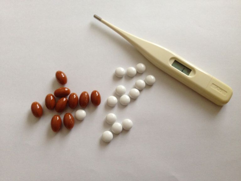 新宿で進化し続ける内科医療ネットワークと都市生活者の健康サポート最前線