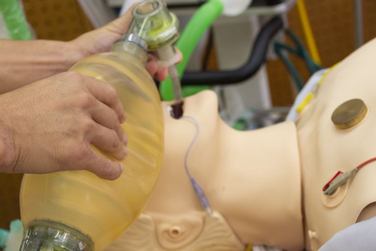 新宿で暮らす人と働く人を守る多様な都市型医療と進化する内科の今